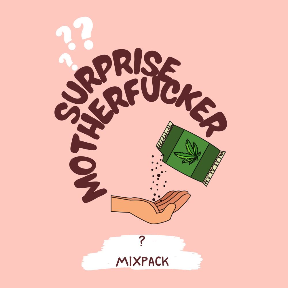 Surprise MFCKR Mixpack cannabis seeds packaging — Royal King Seeds Australia